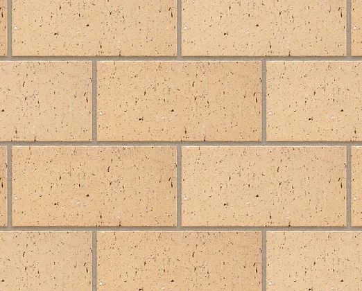 Paver Clay Champagne P/1000 (500 pavers per palet)