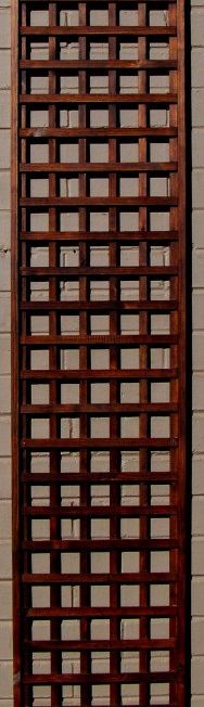 Garden Fence Trellis Screen 50mm 400 X 1800 TSC3